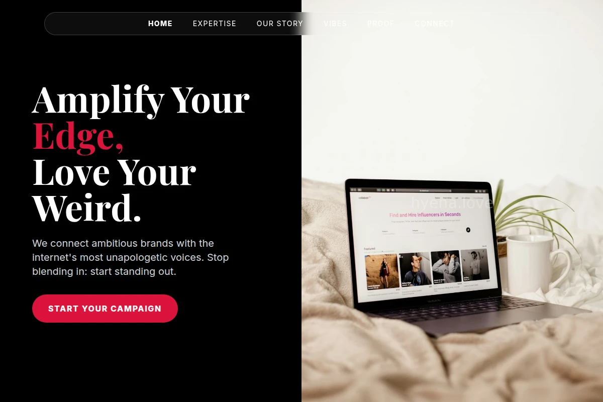Spectrum Influencer Marketing